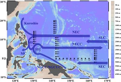 Nanophytoplankton and microphytoplankton in the western tropical Pacific Ocean: its community structure, cell size and carbon biomass